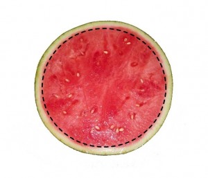 Food-Pictures-0051
