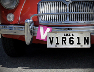 1577_plasma-like-a-virgin-313x239