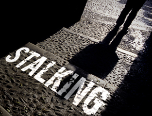 4599_plasma-stalking-313x239