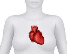 iStock_000016734605-cropped_for_email_143111