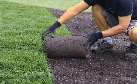 © Horticulture - Fotolia.com