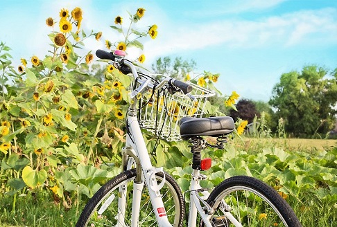 bicycle-compressed_102316