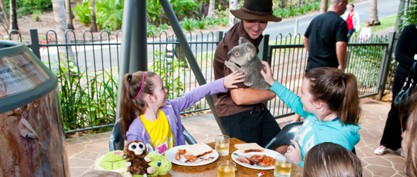 Having  breakfast with koalas at WILD LIFE Hamilton Island