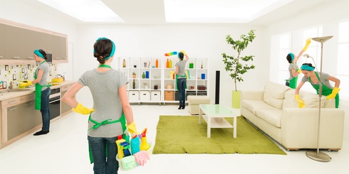 Deep Cleaning Tips: How to Keep Your Home Tidy and Prevent Pests
