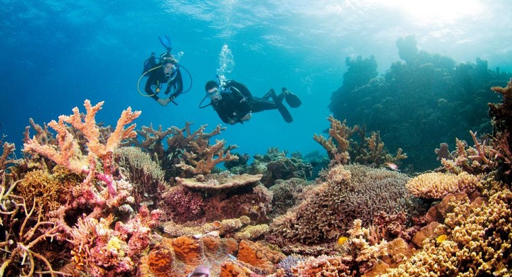 Great Barrier Reef, North Queensland, Australia