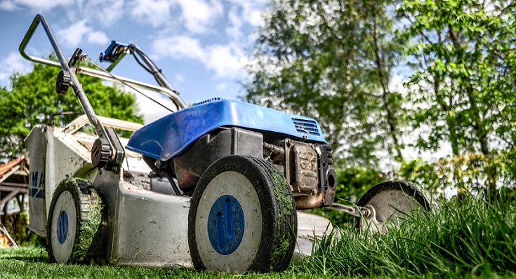 Taking care of your garden and outside areas