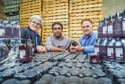 USQ Functional Foods Festival blending flavour and science for health benefits