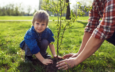 What Is Arbor Day And What Do You Do On It?