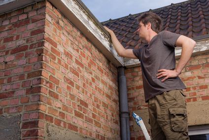 A Professional on Your Roof: What to Expect During an Inspection