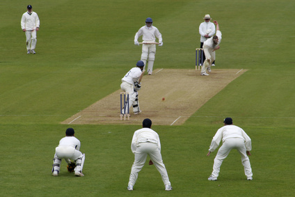 Feeling Threatened By Cricket? See It As An Opportunity Instead!