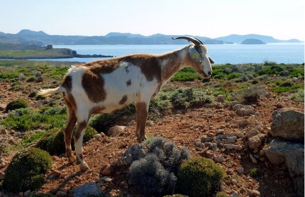 Get away from it all in Menorca