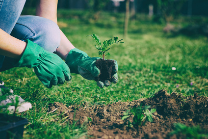How Green Is Your Garden?