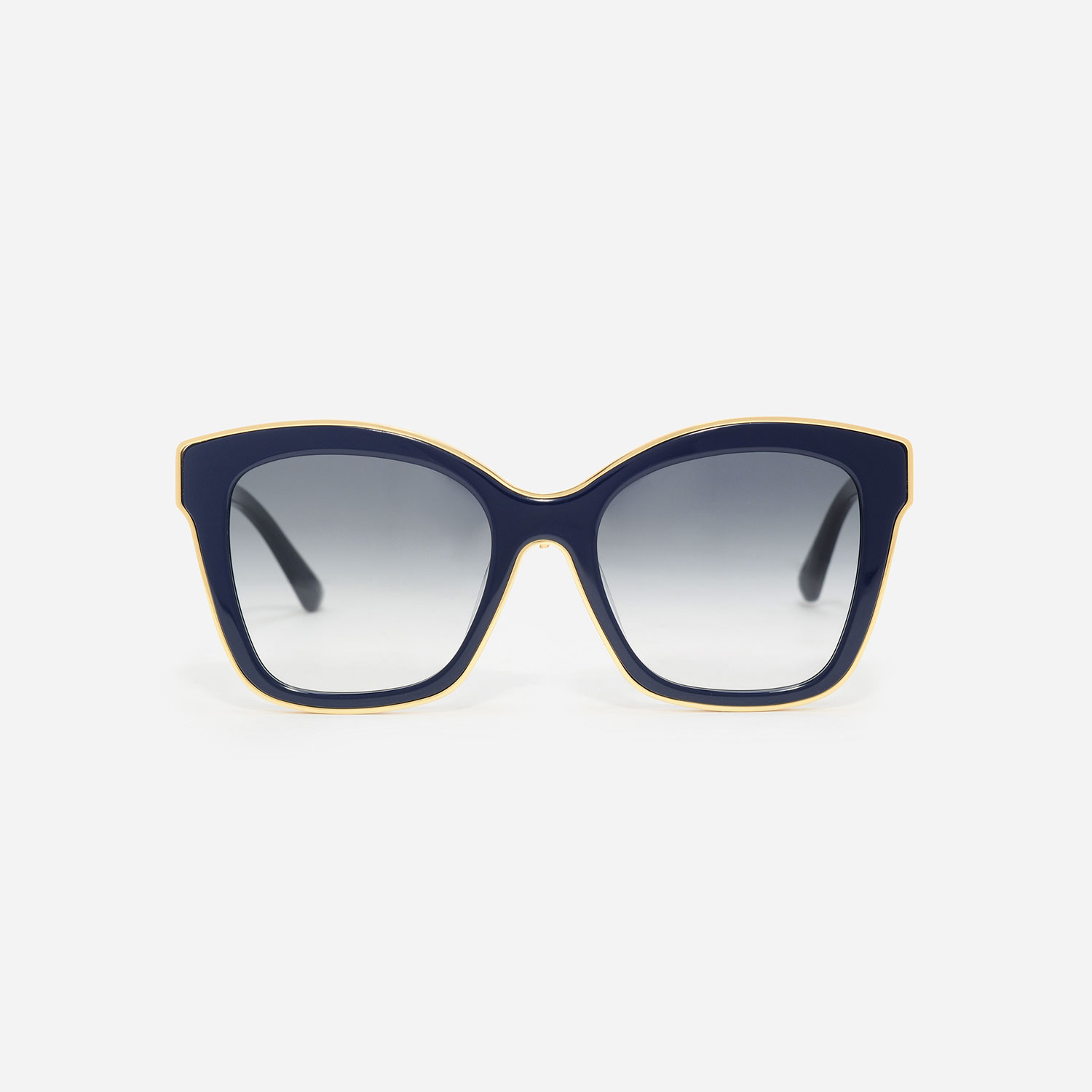 CHARLES & KEITH Butterfly Acetate Sunglasses