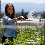 Instant Calmer! Creating A Garden Worthy Of Relaxation
