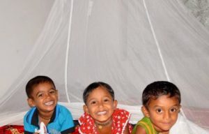 Seven mosquito nets