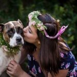 PetStock Pet Adoption