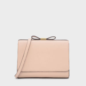 CHARLES & KEITH Bow Detail Clutch Bag