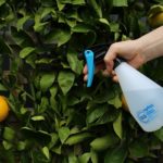 An End to Weeds and Waste in Aussie Backyards