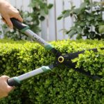 Snip your garden into shape for Spring