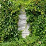 3 Reasons Why Fixing up Your Neglected Garden Can Improve Your Quality of Life