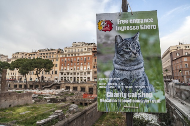 Torre Argentina Cat Sanctuary sign.