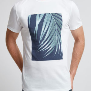 SABA Declan Print Crew