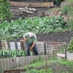 Urban Agriculture is the Key to a Sustainable Future