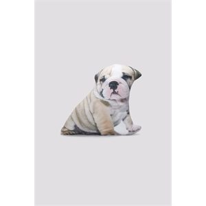 Dangerfield British Bulldog Cushion