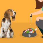 Four Things to Consider Before Giving CBD Oil to Dogs
