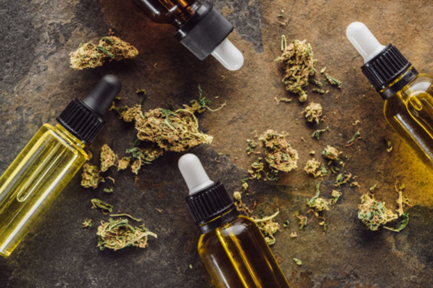 What CBD Oil Can Do For Your Pets
